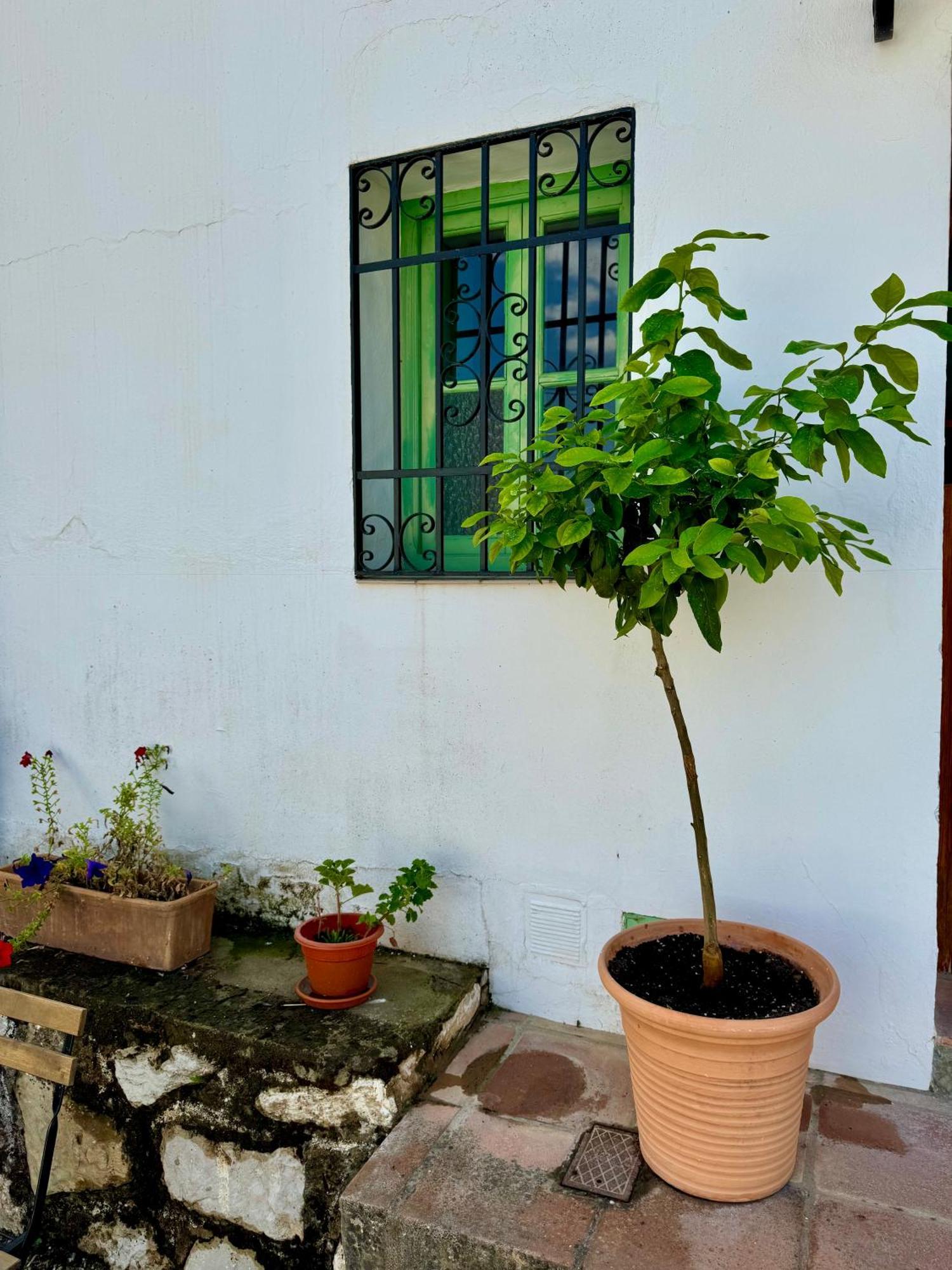 Villa Casa Leon Montejaque Exterior foto